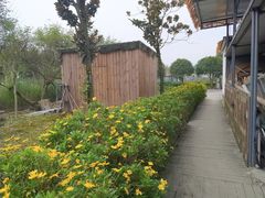 -洪湖家庭农场·团建·露营·会议