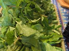 -慢丽江·云南野生菌土鸡锅(付家庄店)