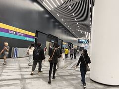 -望京西(地铁站)