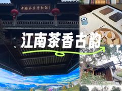 -中国茶叶博物馆(双峰馆区)