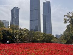-苏州东太湖生态园