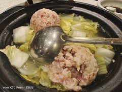 -丁老爷子苏香圆