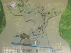 -都江堰中华大熊猫苑