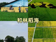 -老鼎万春卤菜(五代传承创始老店)