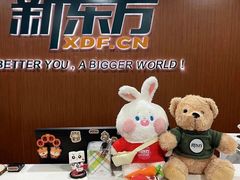 -新东方成人英语学习考试·口语·商务(延安路校区)