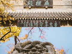 -灵谷景区