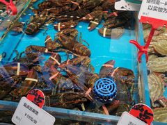 -必点海鲜·鲅鱼水饺(鞍山西道店)
