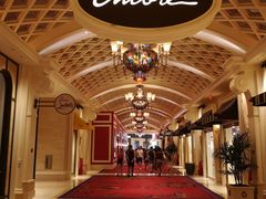 -拉斯维加斯永利酒店