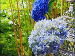 -新竹里馆·花园餐厅(兴苑路店)