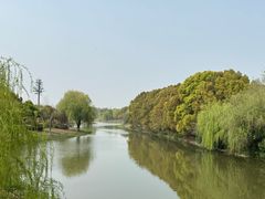 -江滩湿地公园