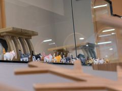 -飞行喵MR PILOT|猫舍·猫咖(静安大融城店)