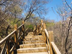 -大岭沟猕猴桃谷风景区