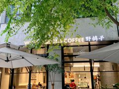 -野鸽子咖啡(中航店)
