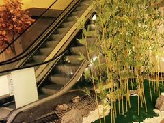 -汤泉良子(金源店)