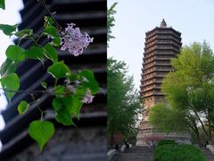 -玲珑塔公园