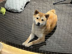 -呼吸沉浸式剧场(甘露园店)