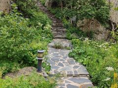 -白草畔自然风景区