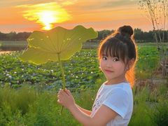 -呼兰河口湿地公园
