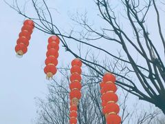 -洛阳市隋唐城遗址植物园