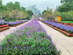 -南山植物园