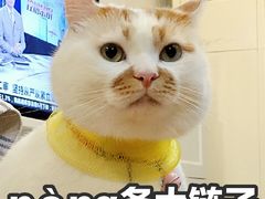 -自贡好吃客(科华店)