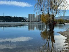 -洱海月湿地公园