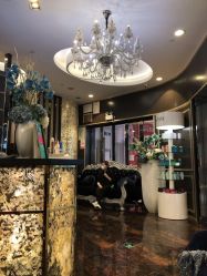 -八佰伴8008星级形象店