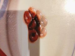 -莞府家宴·东莞菜(市民服务中心店)