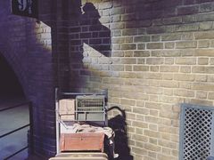 -九又四分之三站台