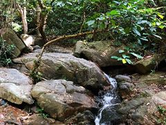 -火炉山森林公园
