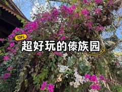 -西双版纳傣族园