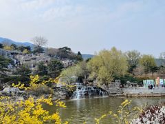 -北京西山国家森林公园