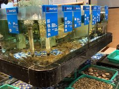 水产区-新时代大酒店(仰口路店)