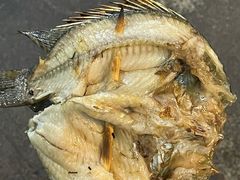 -杨合林啊兰烤鱼