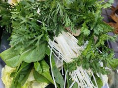 -金鼎雪山牦牛杂火锅(理县总店)