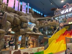 -卡通尼·Safari非洲探索乐园·生日会(金桥国际商业广场店)