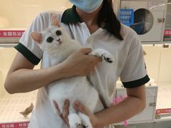 -lincat·猫舍(广州店)