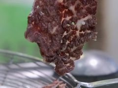 -乌记鲜活牛肉城(金砂东路店)
