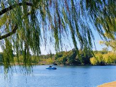 -上海共青森林公园