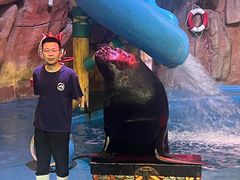 -烟台海昌鲸鲨海洋公园