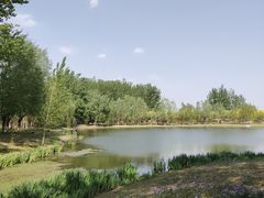 -东郊湿地公园