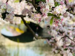 -元大都城垣遗址公园