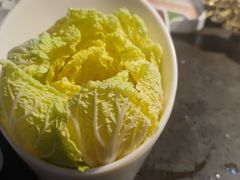 大白菜-锅说大脸毛肚重庆老火锅(佐阾店)