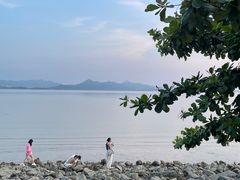 -深圳湾公园(南山区)
