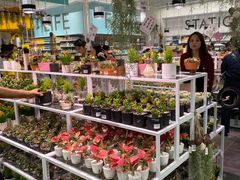 -KKV(深圳宏发大仟里店)