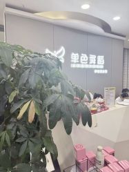 -单色舞蹈