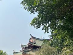 -南普陀素菜馆