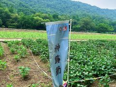 -八卦田遗址公园
