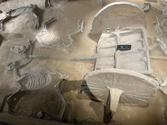 -洛阳周王城天子驾六博物馆