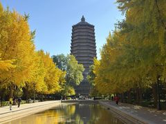 -玲珑塔公园